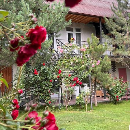 Podsolnukhi Guest House Cholpon-Ata Extérieur photo