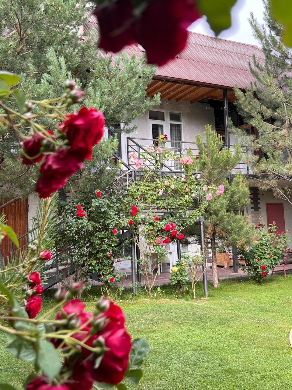 Podsolnukhi Guest House Cholpon-Ata Extérieur photo